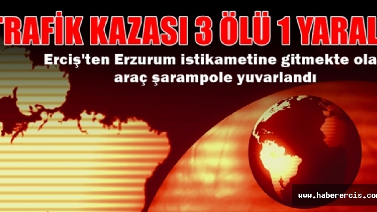 Erciş'ten Erzurum istikametine gitmekte olan arac şarampole yuvarlandı 3 ölü 1 yaralı