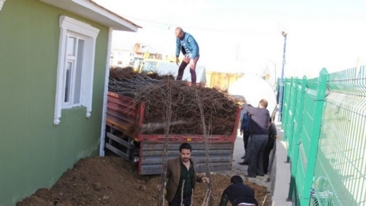 Başkale’de ‘Her Evin Önünde Bir Meyve Fidanı Olsun’ Projesi