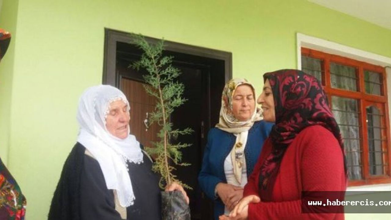 Erciş'te Anneler Günü bir dizi etkinlikle kutlandı