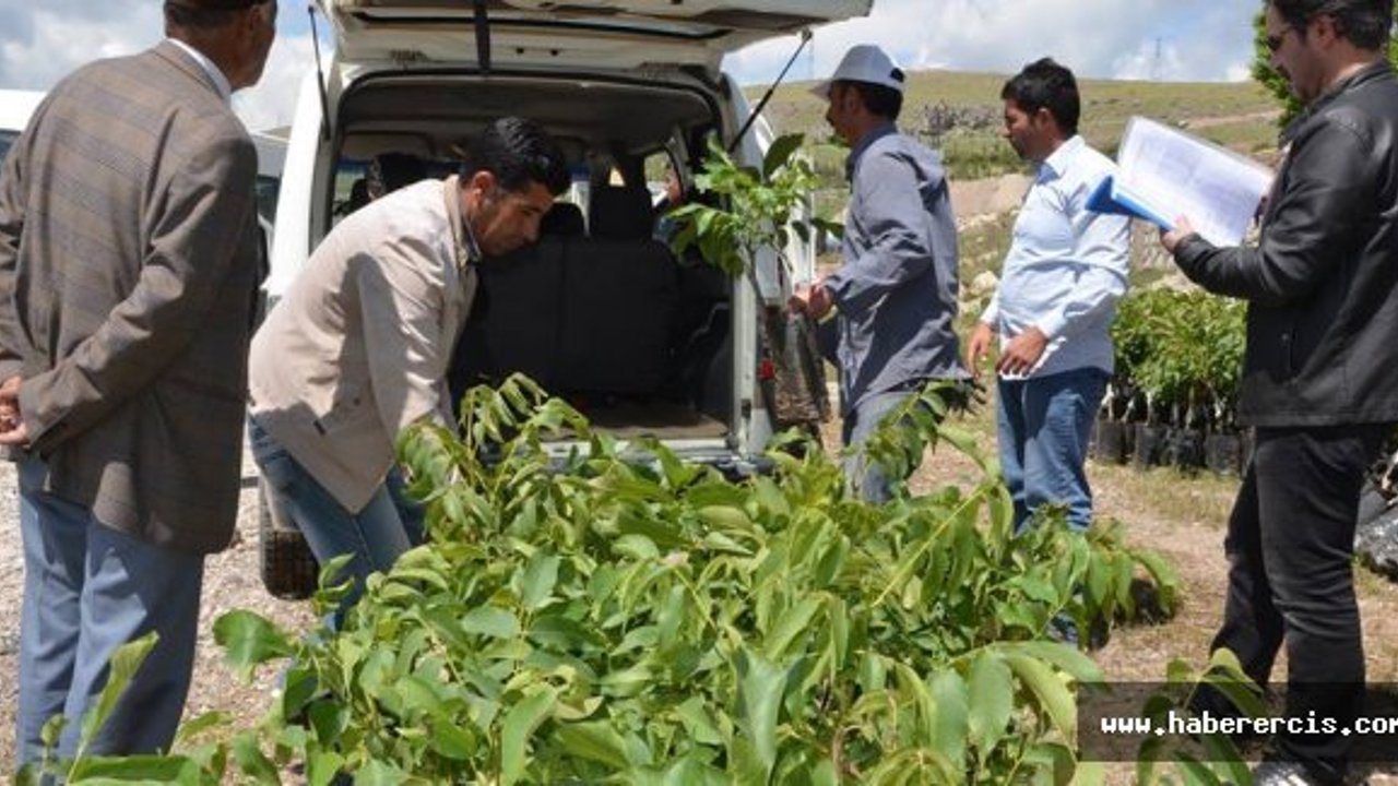 Erciş'te 'Mahalle Bahçeleri' oluşturuluyor
