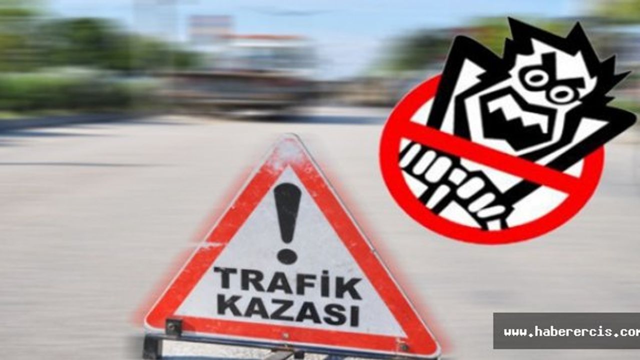 Erciş ve Başkale'de 2 ayrı trafik kazası; 16 yaralı
