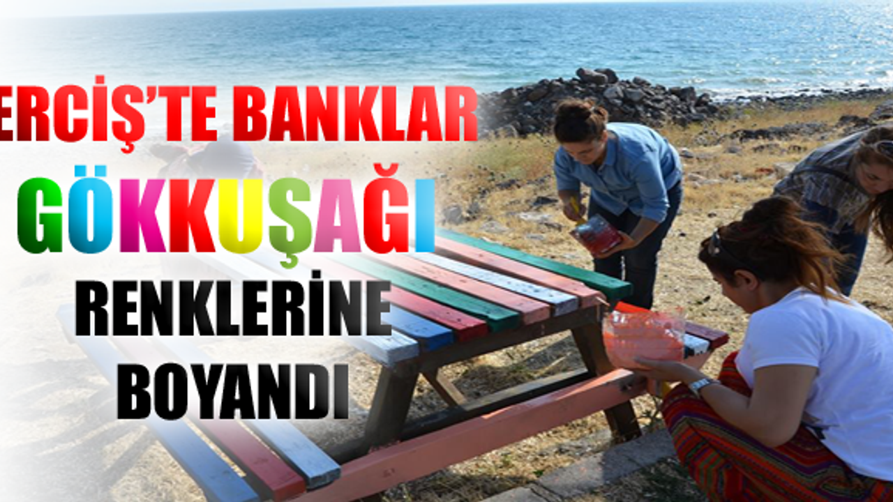 Erciş'te banklar Gökkuşağı renklerine boyandı