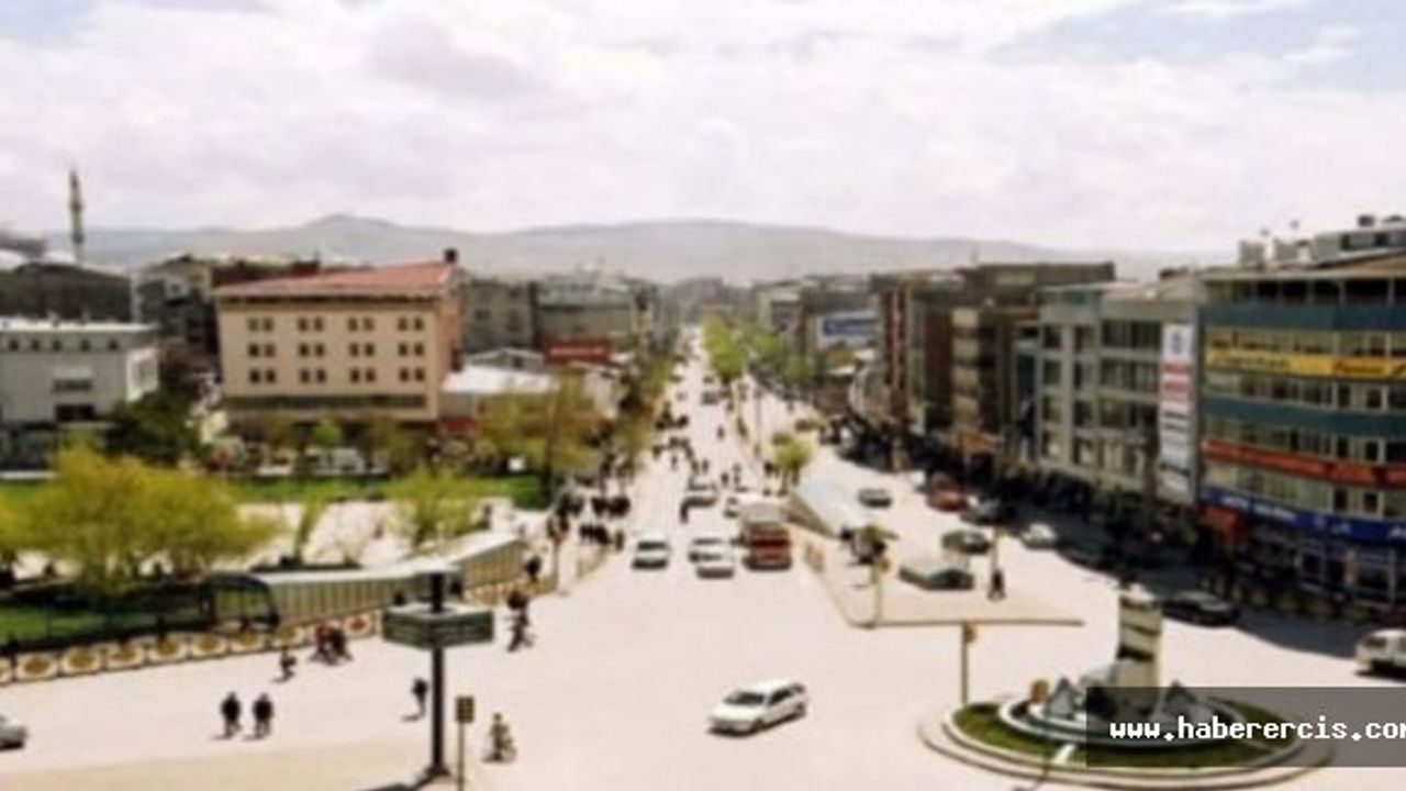 Van'da kayyuma karşı iş bırakma eylemi