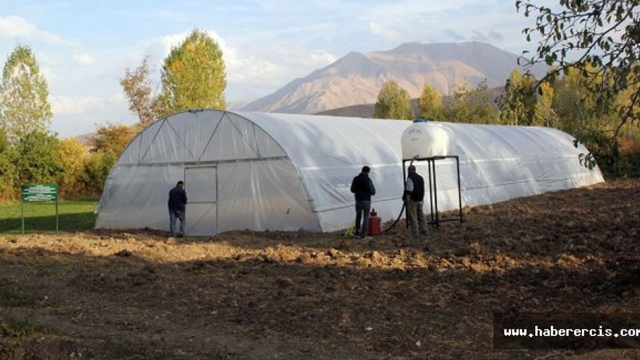 Van Büyükşehir Belediyesi, ihtiyaç sahibi aileler için 52 sera kurdu