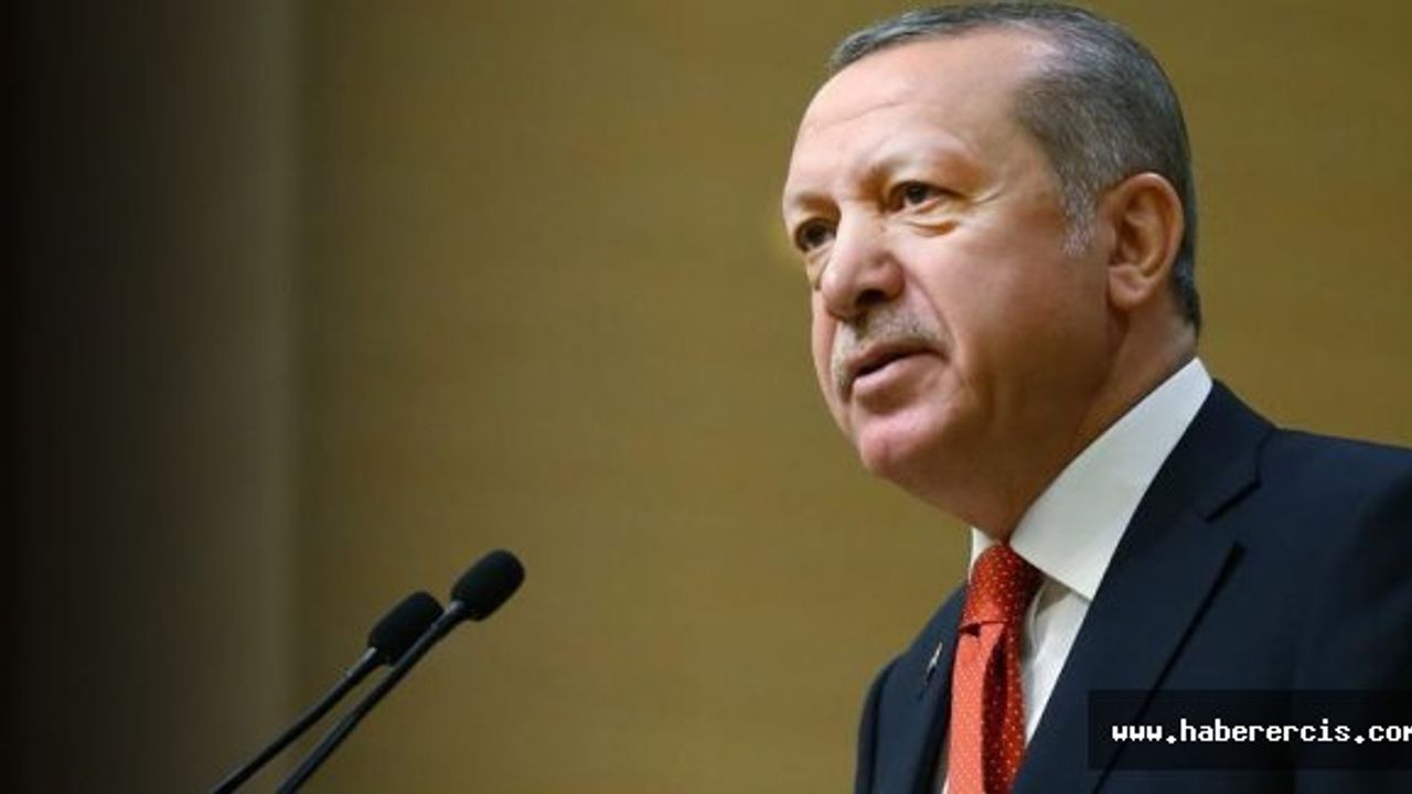 Referandum hazırlığı... Erdoğan'dan kaymakamlara direktif: Kömür dağıtın