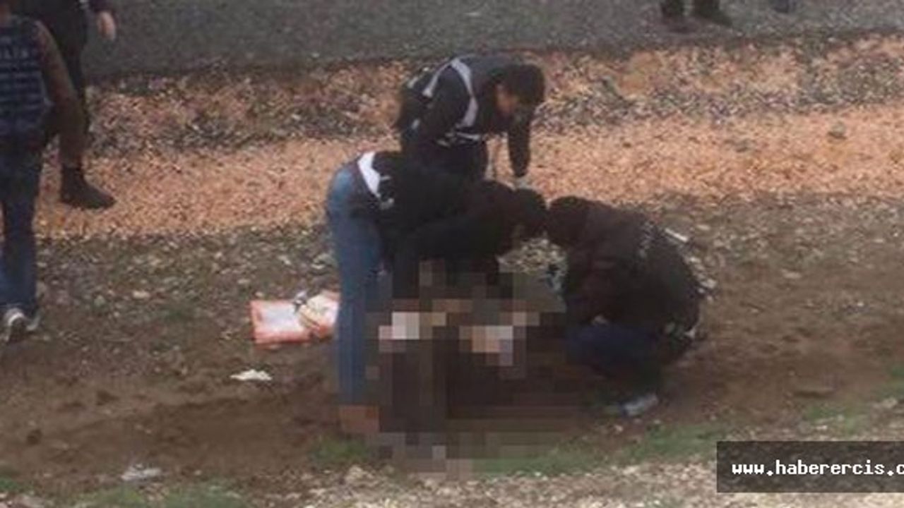 Diyarbakır'da Newroz alanında bir kişiyi polis vurularak öldürdü
