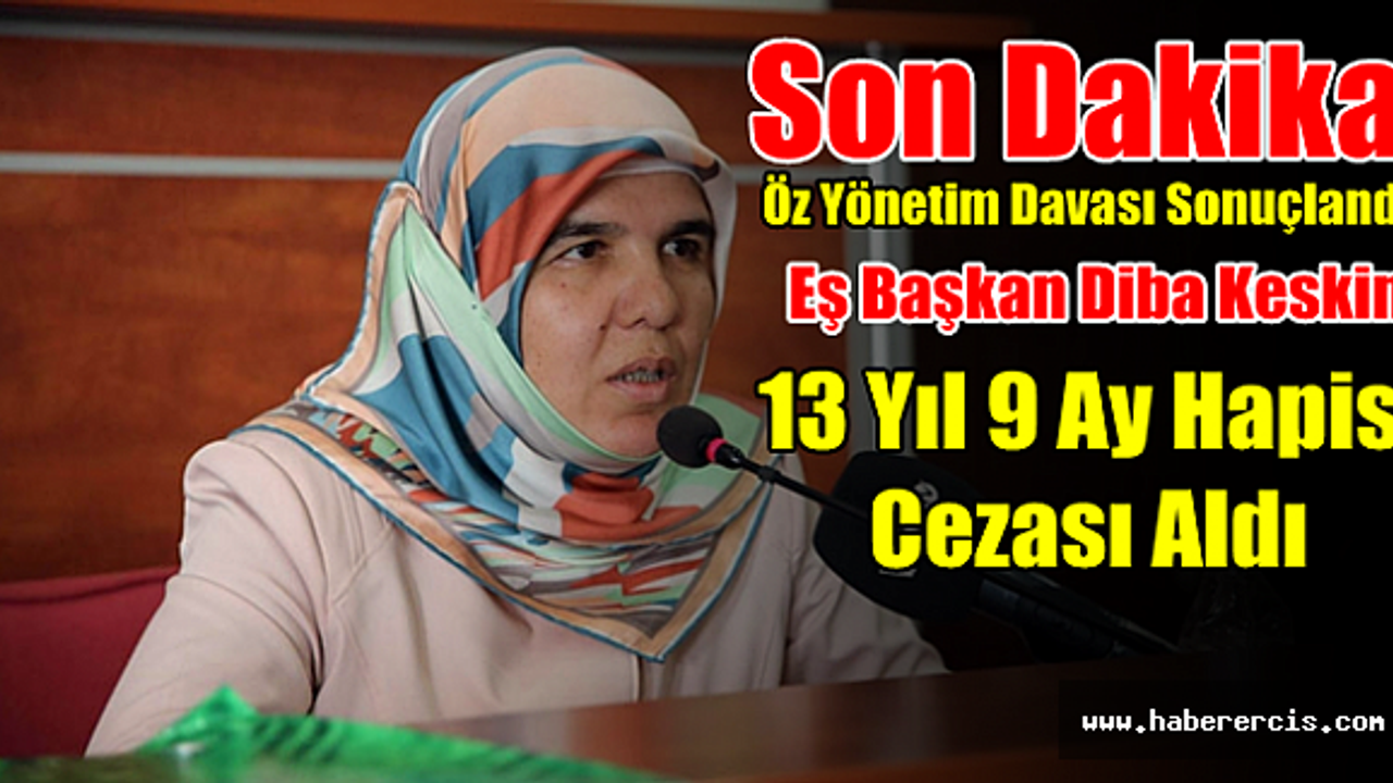 Erciş Belediyesi Eş  Başkanı'na 13 yıl 9 ay hapis