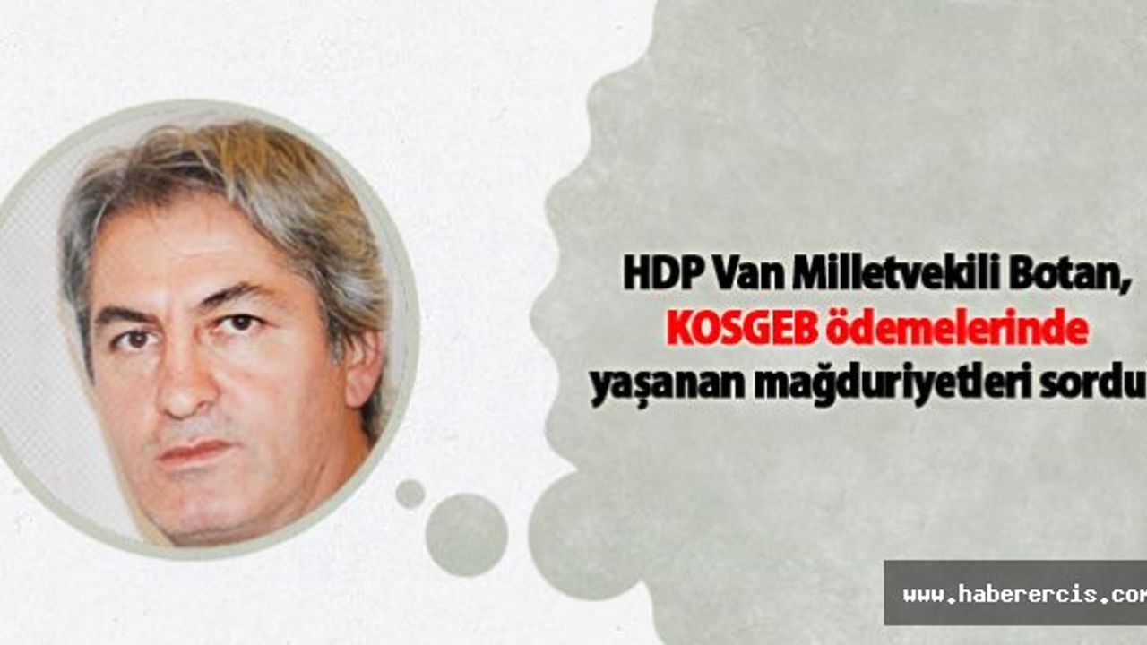 HDP Van Milletvekili Botan, KOSGEB ödemelerinde yaşanan mağduriyetleri sordu
