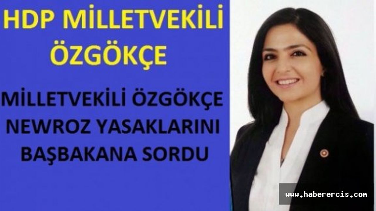 MİLLETVEKİLİ ÖZGÖKÇE NEWROZ YASAKLARINI BAŞBAKANA SORDU