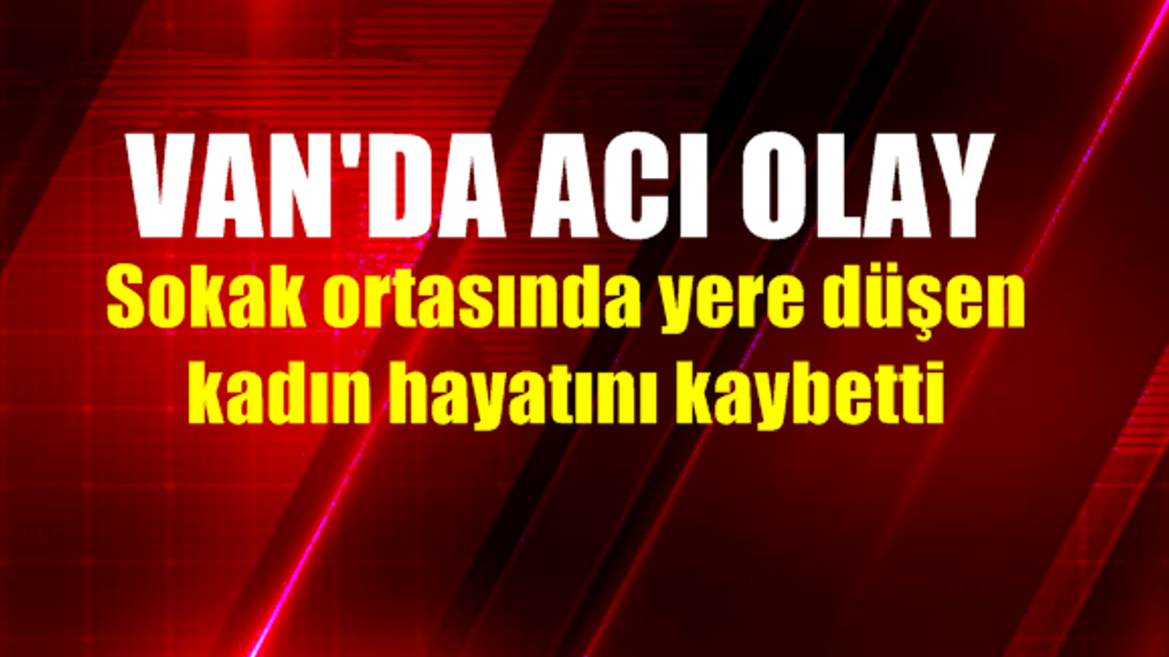 Van'da Sokak Ortasında Yere Düşen Genç Kadın Hayatını Kaybetti