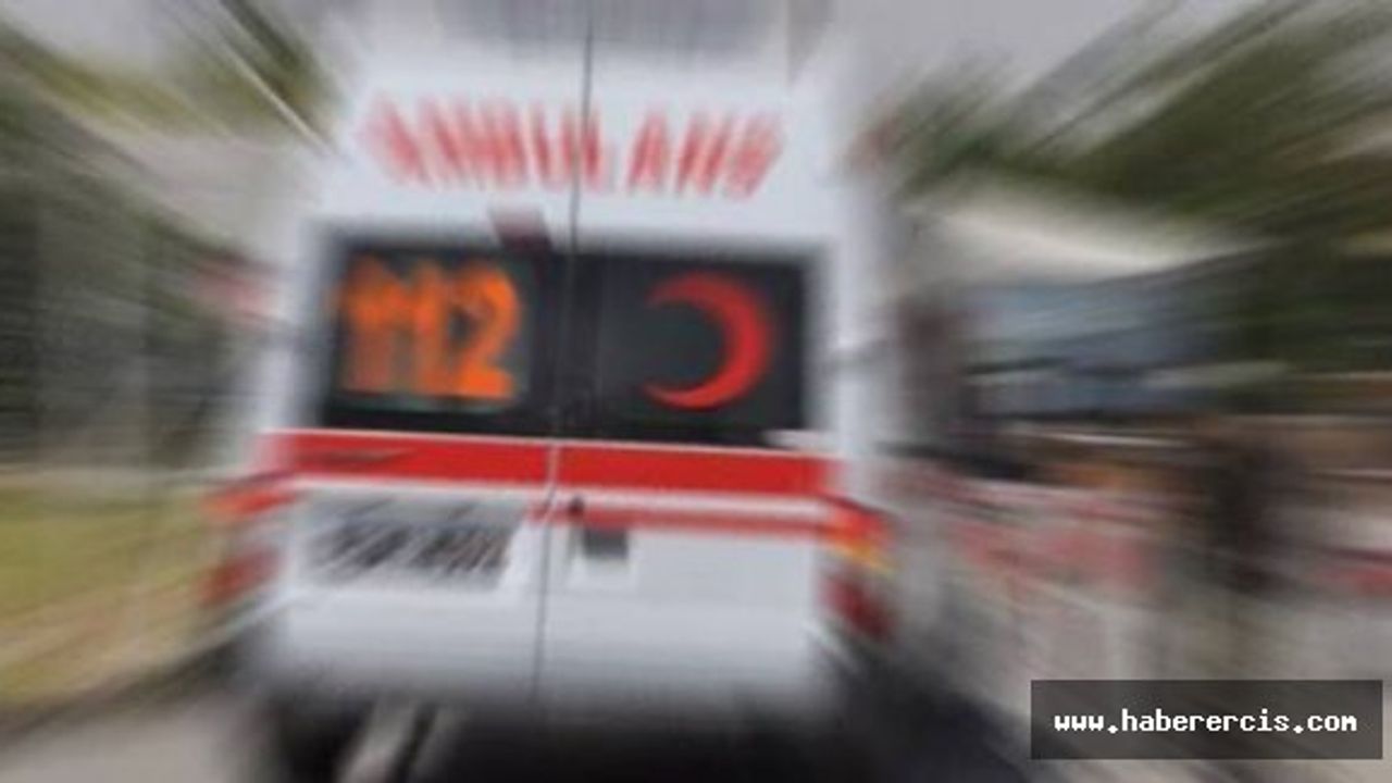 Erciş'te üzerine ağaç düşen 16 yaşındaki çocuk hayatını kaybetti