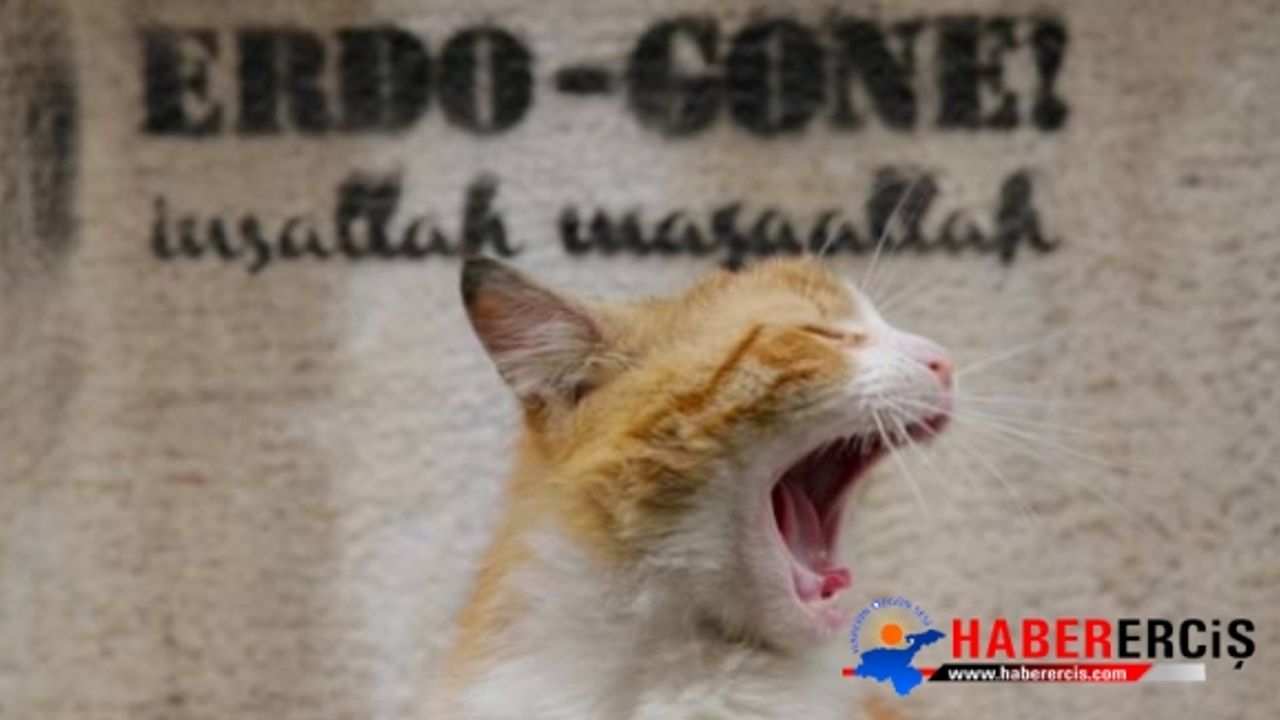 Duvar yazısından dergiyi kapattılar: Erdo-Gone!