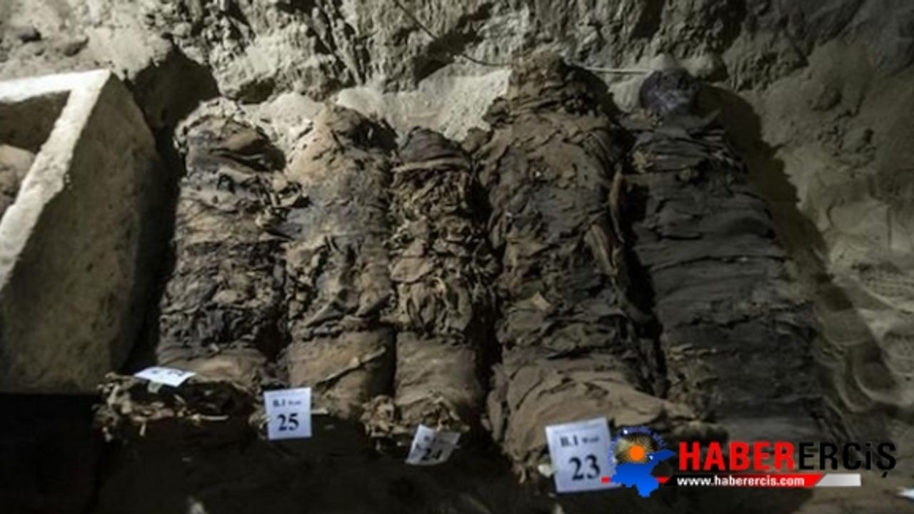 Neredeyse hiç bozulmamış 17 mumya bulundu