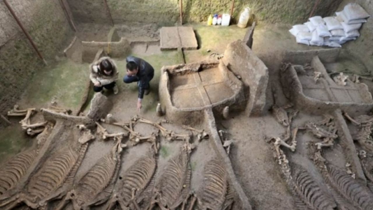 Çin'de 2.400 yıllık at iskeletleri ve arabaları bulundu