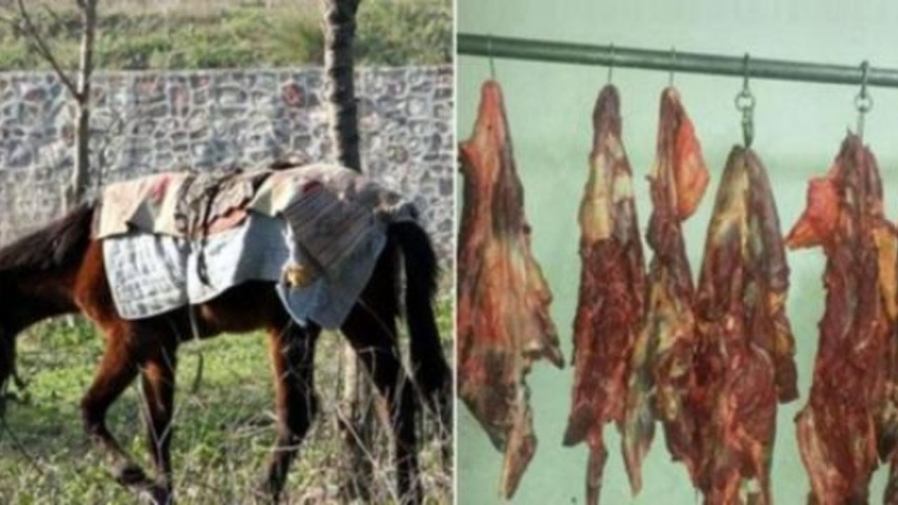 Askere at eti yedirildiğini Bakan da doğruladı