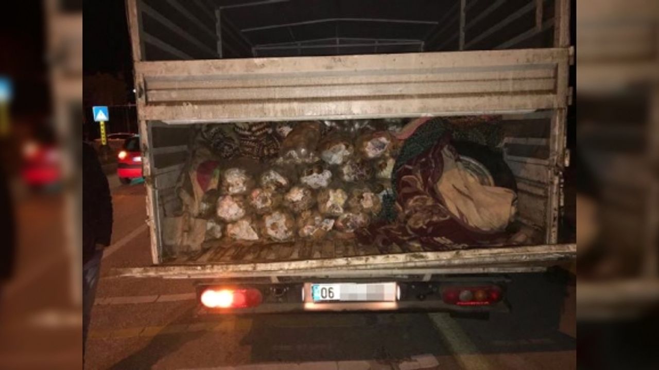 Erciş'te Patates Çuvalları Arasında 17 Bin Paket Kaçak Sigara Ele Geçirildi