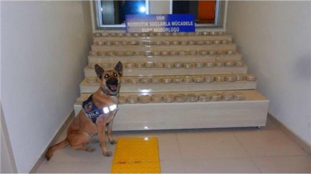 Van'da 48 Kilo Eroin Ele Geçirildi