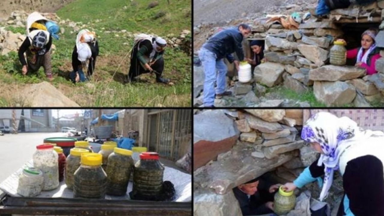 Van'da Yazın toplanan otlar kışın tezgâhlarda