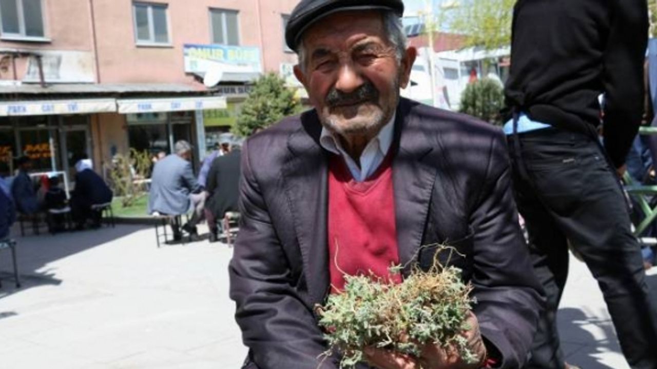 99 yaşındaki Ahmet Ayaz Van'da 40 yıldır topladığı otlarla şifa dağıtıyor