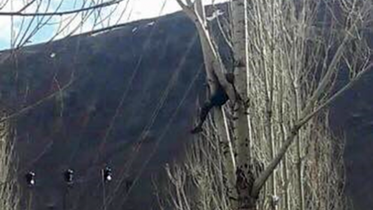 Erciş'te Elektrik Akımına Kapılamna 53 Yaşındaki Yurttaş Hayatını Kaybetti