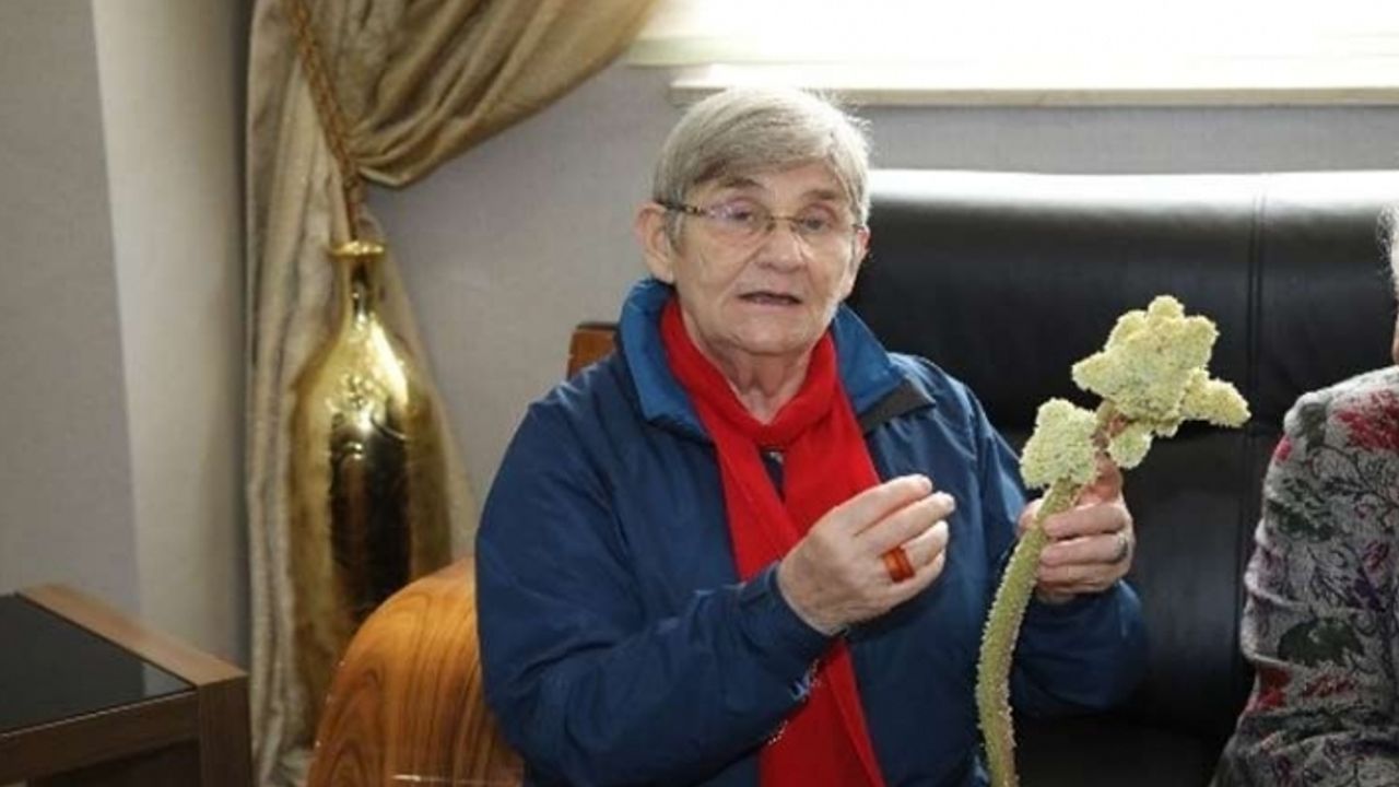 Canan Karatay en sağlıklı yemeği açıkladı: UŞKUN