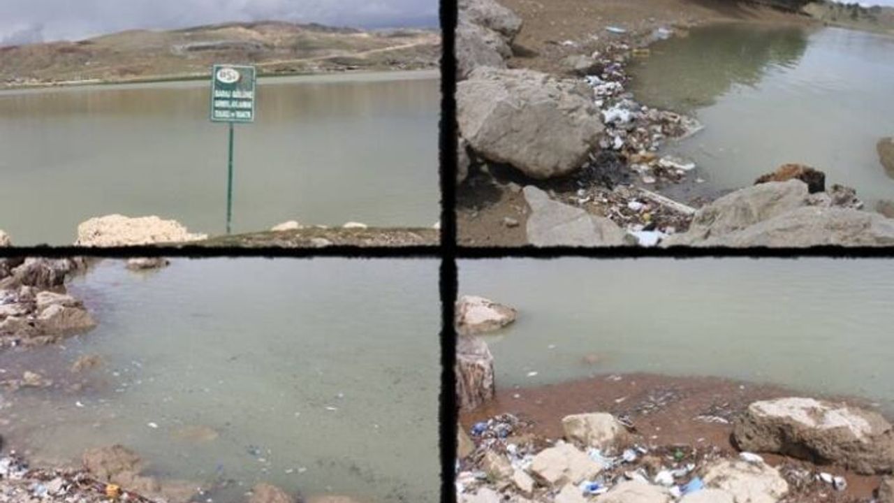 Van'da Su ihtiyacının karşılandığı göl zehir saçıyor