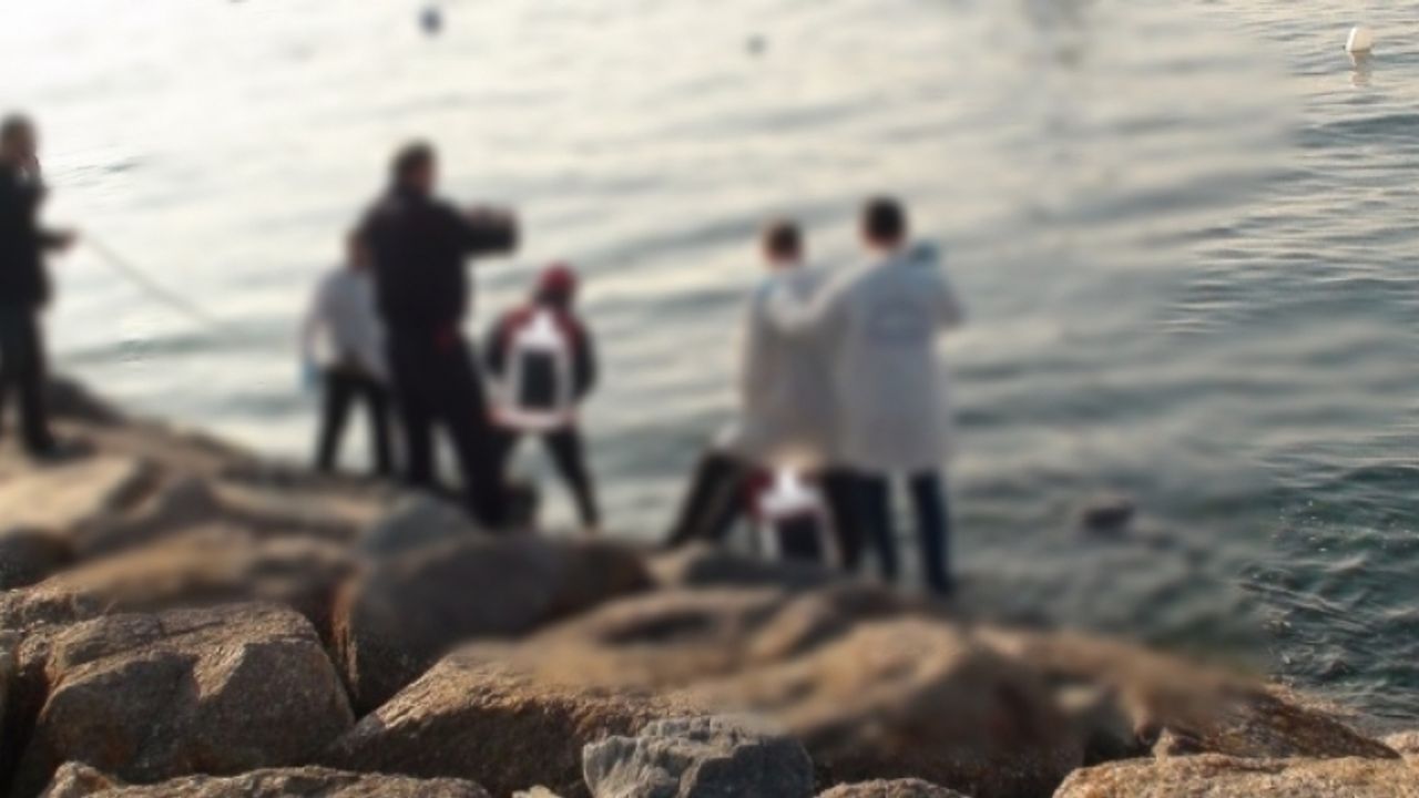 Van'da sahile vuran kadın cenazesi bulundu