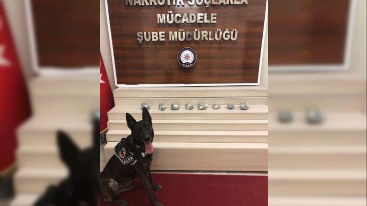 Van’da 4 kilo 150 gram afyon sakızı ele geçirildi