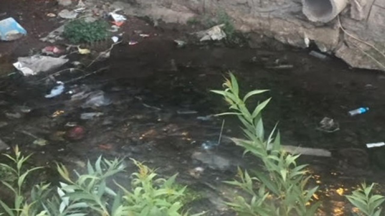 Van Gölü’ne akan sular, yol boyunca topladığı her türden atığı göle ulaştırıyor