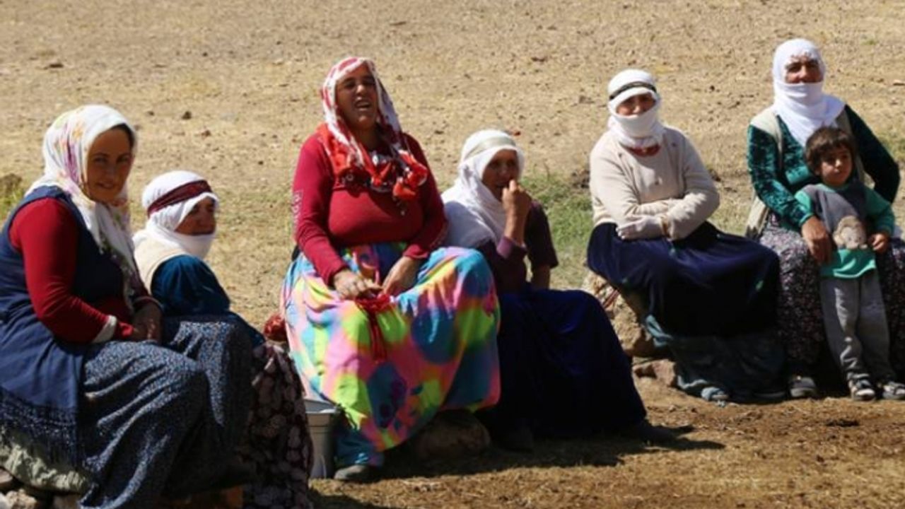 Van'da Gün doğumundan batımına: Yaylada kadınlar kışa hazırlanıyor