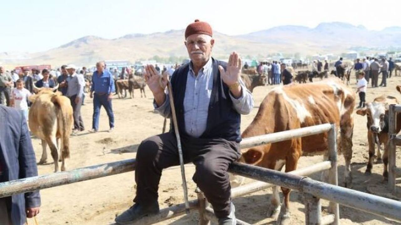 Van'da Yem ve kepek zamları besicileri zora soktu