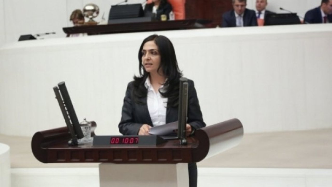 HDP’li Bedia Özgökçe: Cezaevlerinde insanlık suçu işleniyor