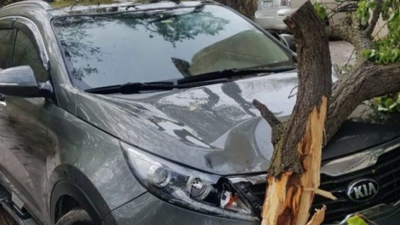 Van'da fırtına ve yağışlar hayatı olumsuz yönde etkiliyor