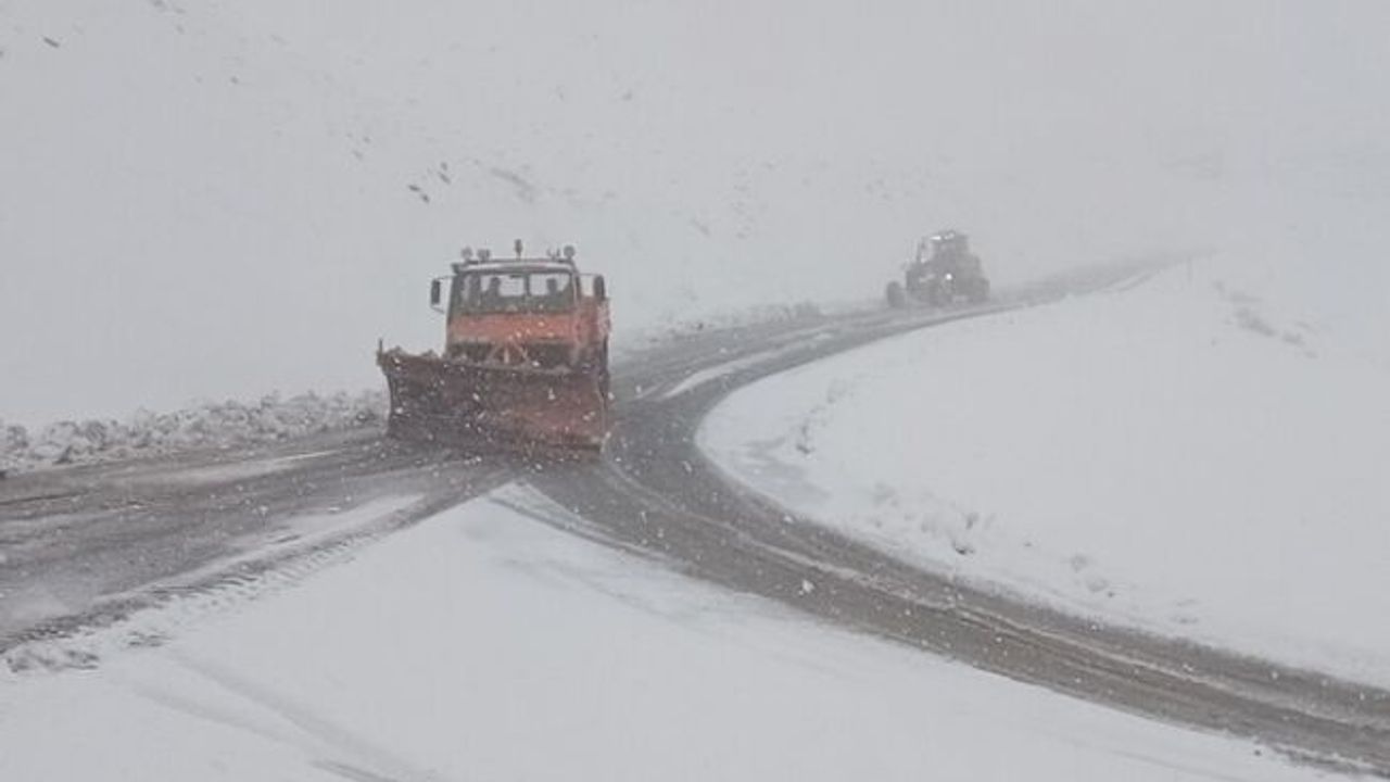 Van'da kar yağışı ve tipi etkili oluyor