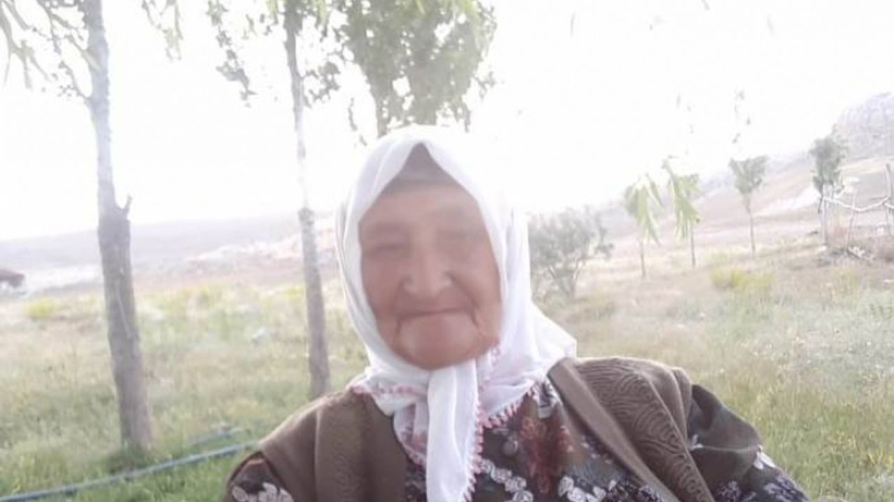 Erciş'te ev baskınları çoksayıda gözaltı: 86 yaşındaki Ayşe Bişirgen gözaltına alındı