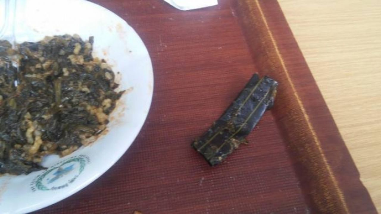 Van'da Hastane yemeğinden hortum çıktı!
