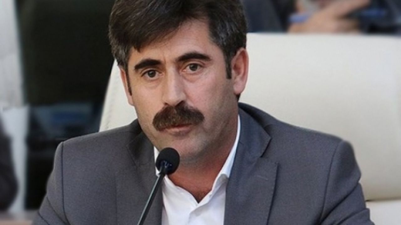 Van Büyükşehir Belediyesi Eşbaşkanı Kaya'nın duruşması görüldü