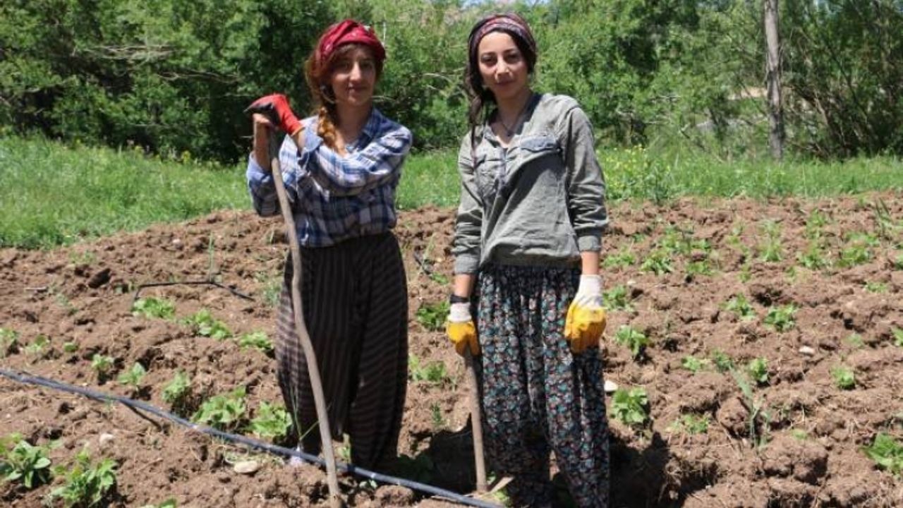 İstanbul’u bırakıp Gevaş’a yerleştiler: Kadınlar topraktan elini çekmemeli