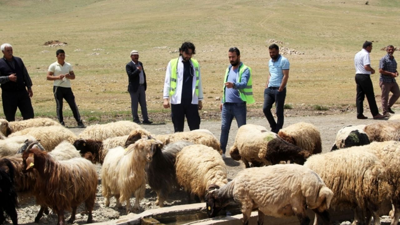 Van Büyükşehir Belediyesi'nden çiftçilere destek