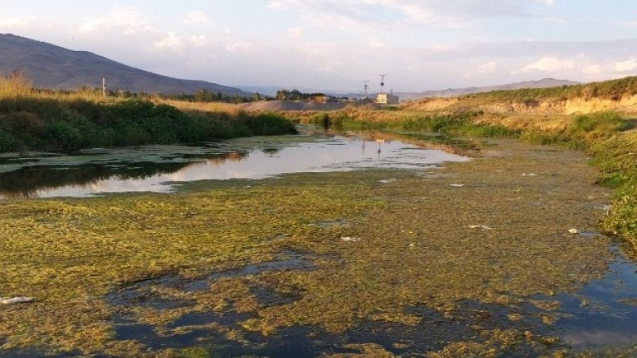 Van Gölü Havzası'ndaki akarsular tehlike altında