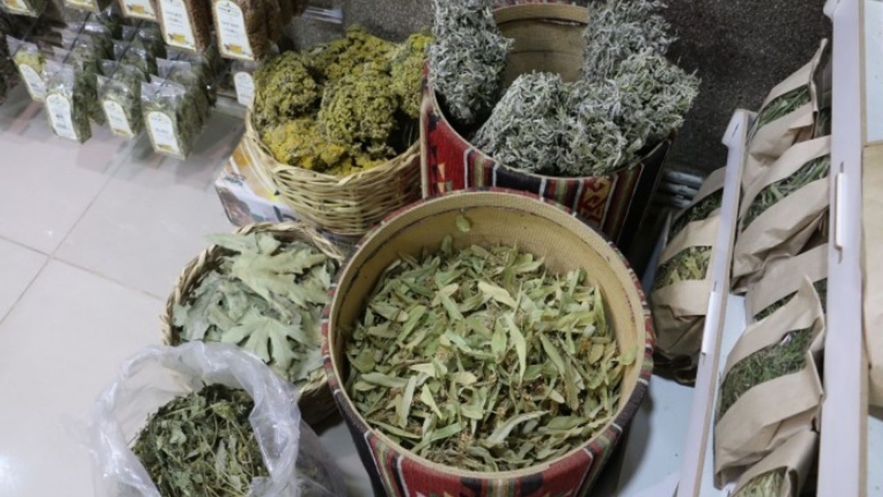 Havalar soğudu Van'da aktarlara ilgi arttı