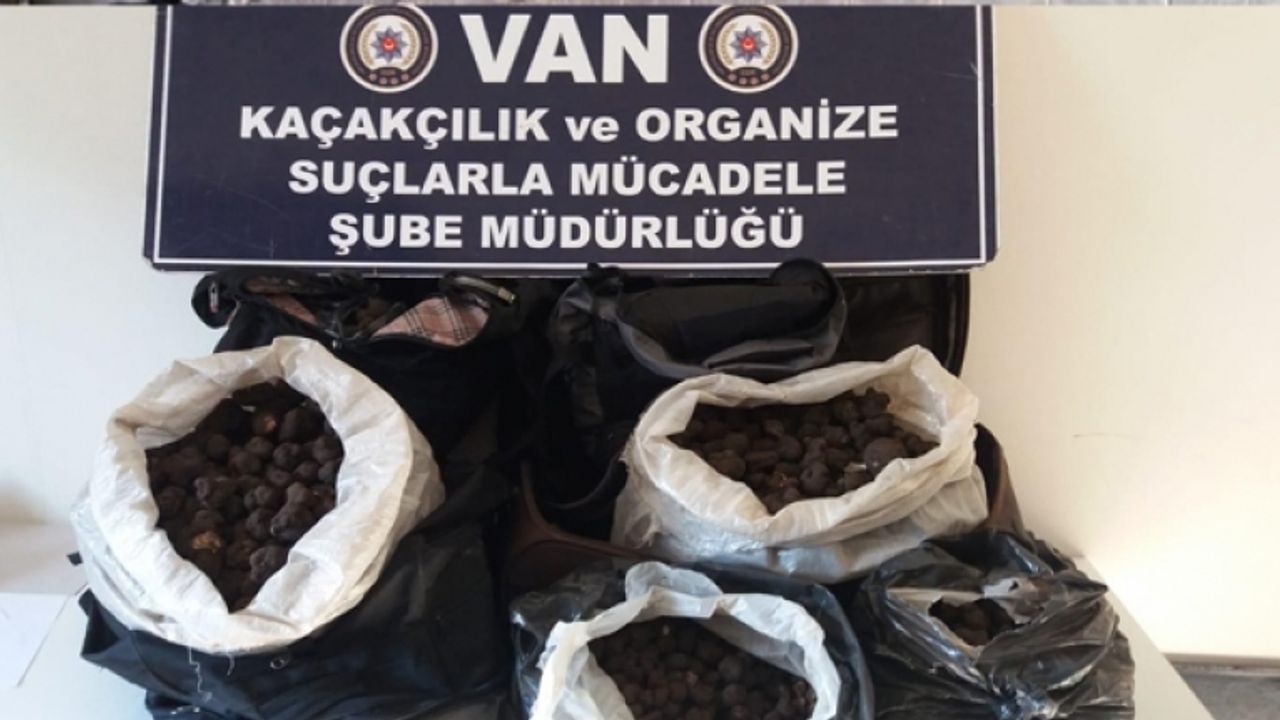 Van havalimanında milyonluk trüf mantarı yakalandı!