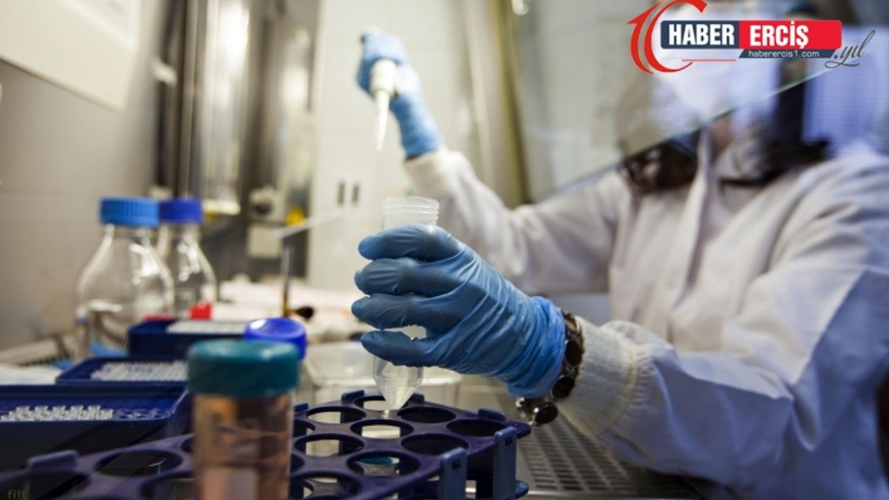 Coronavirüs İstanbul'a sıçradı