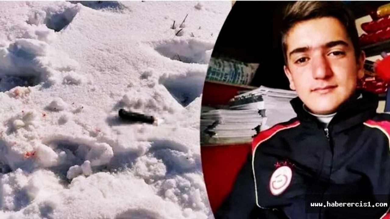 Erciş'te Boğazı Kesilerek Öldürülen Taşdeniz'in Cinayet Şüphelisi Tutuklandı