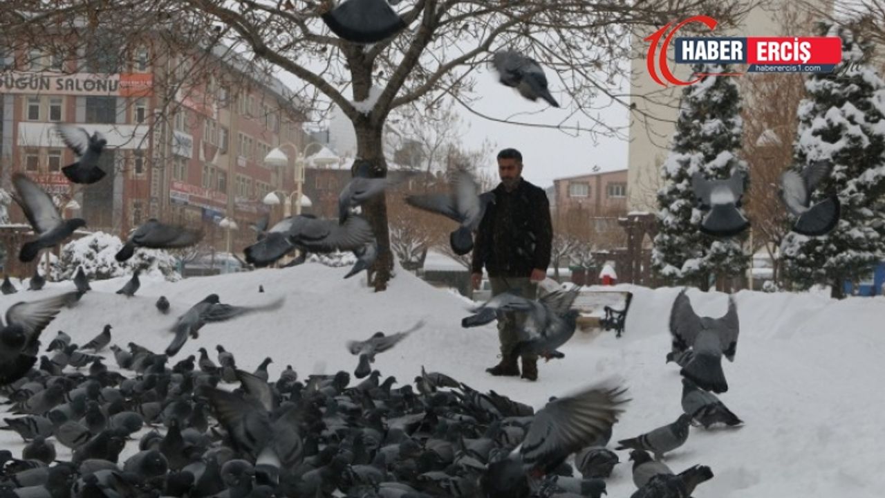 Van'da Her sabah ilk iş güvercinleri yemliyor