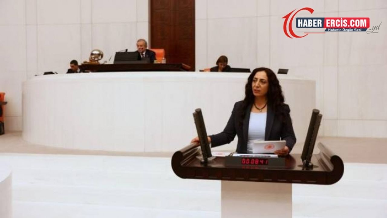 HDP Van Milletvekilinin verdiği 77 önergeden 56’sına yanıt verilmedi