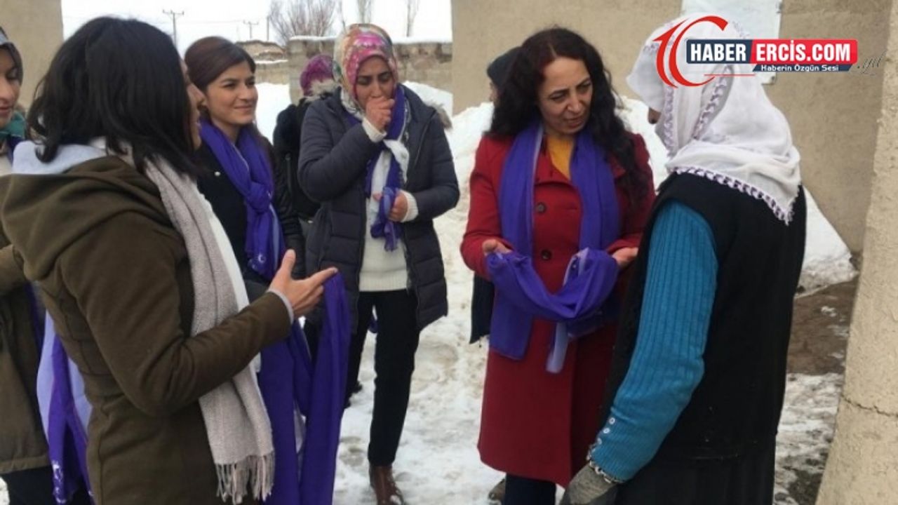Özalp ve Saray'da 8 Mart etkinliği
