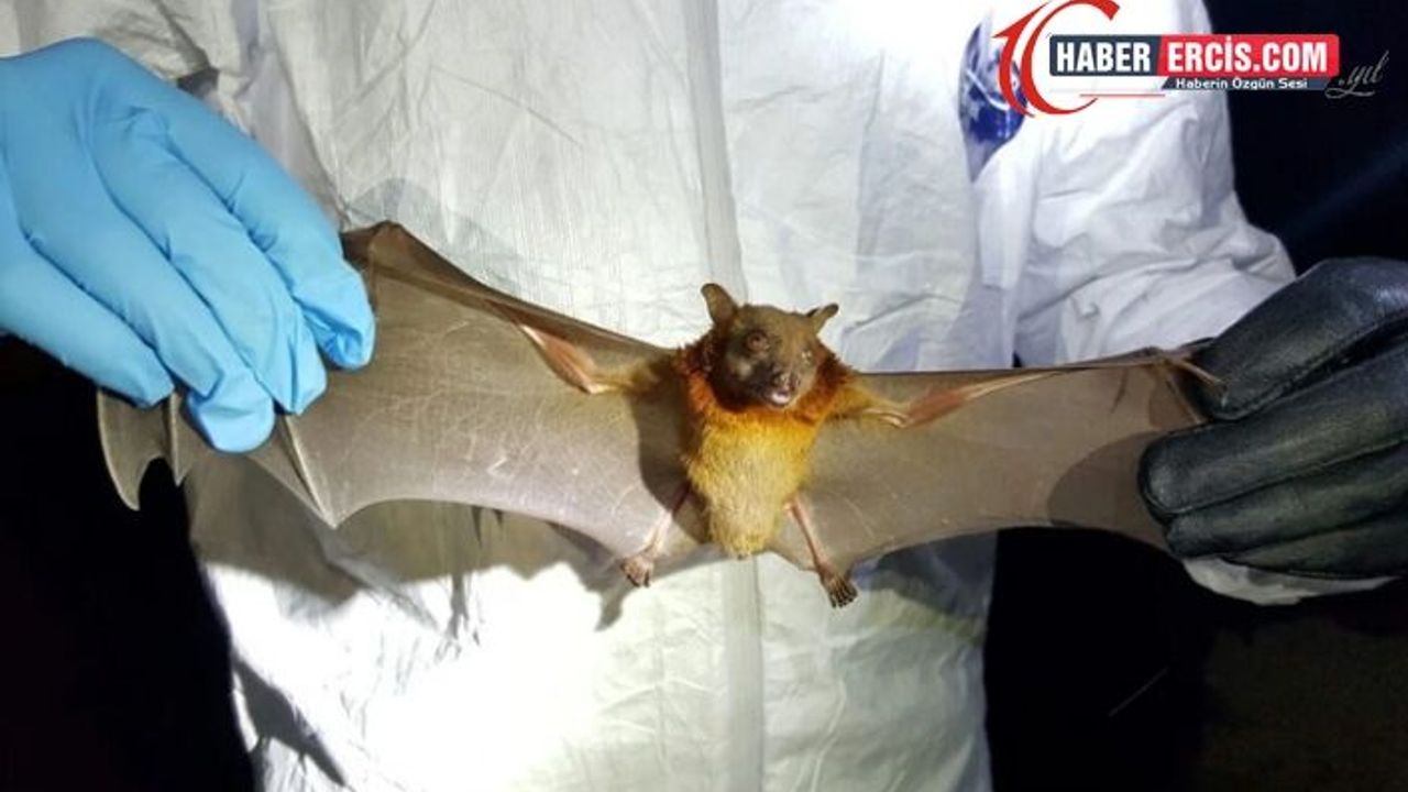 Bilim insanları, Çin'in güneyini 13 yıl önce uyarmış!