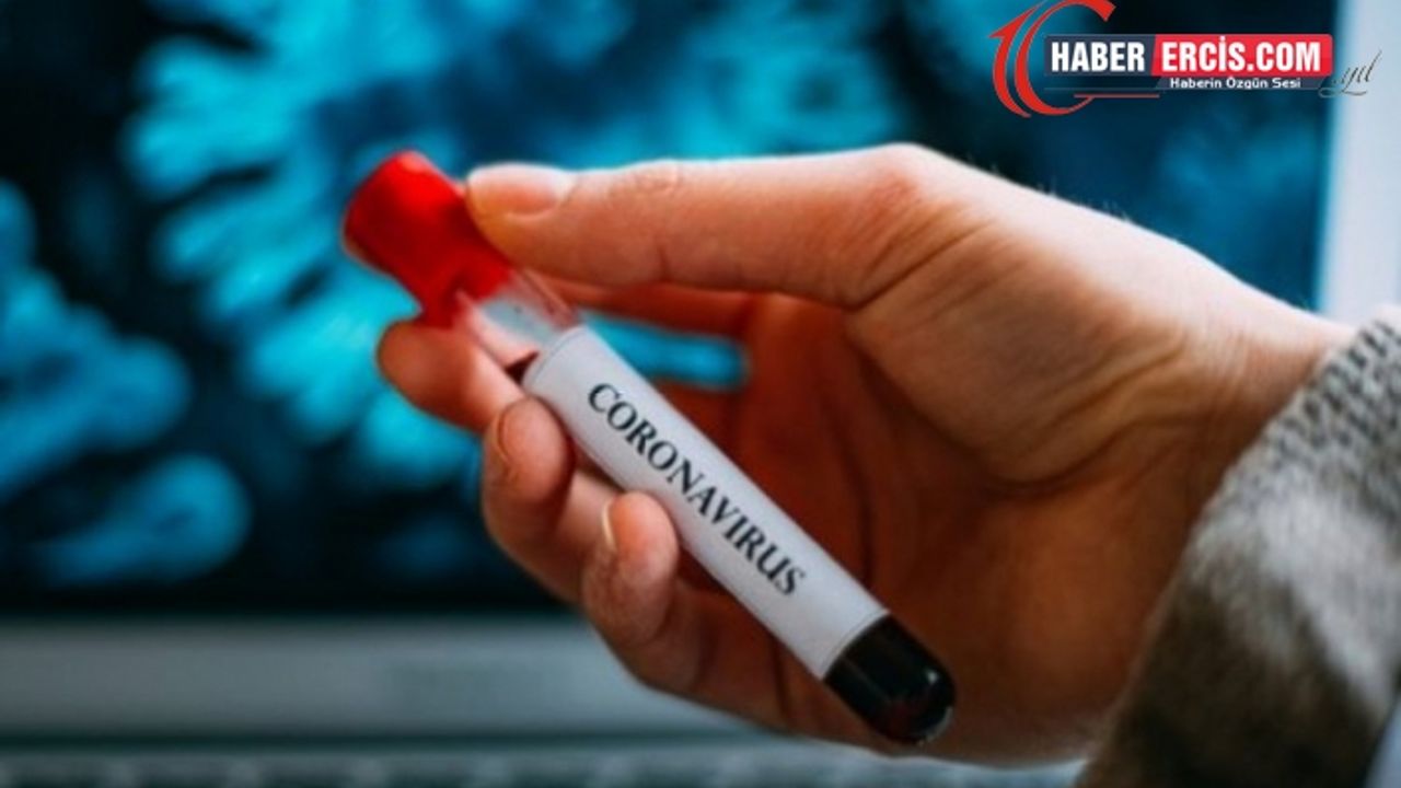 Çinli Uzmanlara Göre Koronavirüse Yakalanma Riski Daha Fazla Olan Kan Grupları
