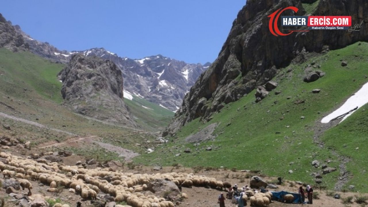 Van'da yaylaya çıkan çobanlara ‘güvenlik’ soruşturması